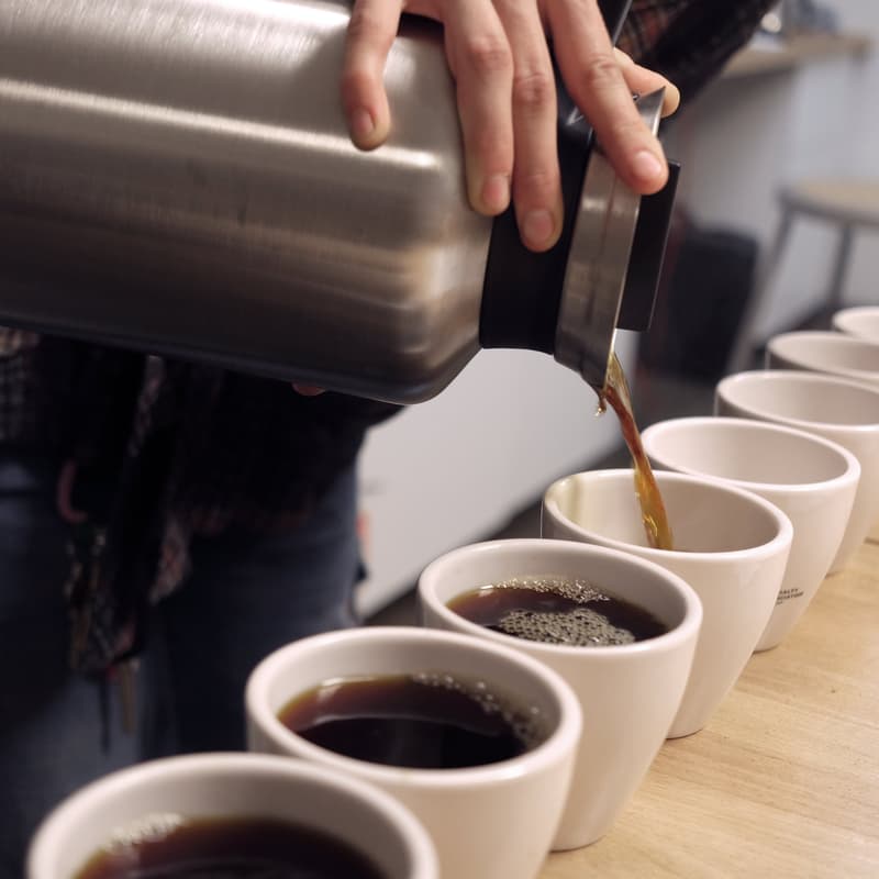 Cover Image for Public Cupping