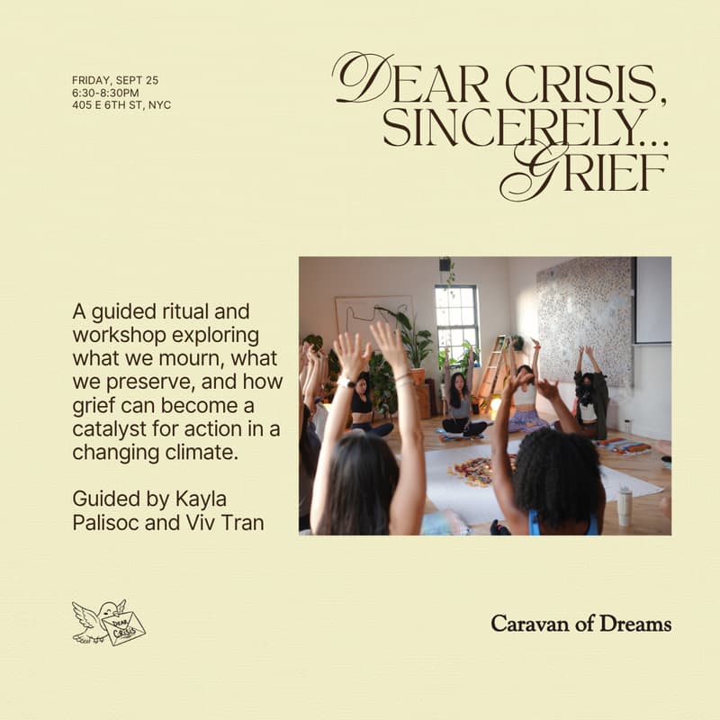 Cover Image for Dear Crisis, Sincerely… Grief