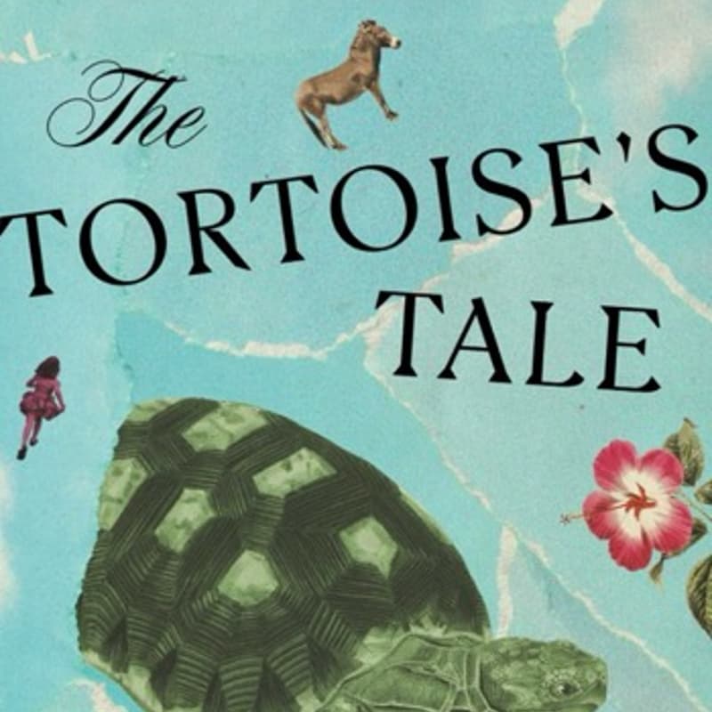 Cover Image for Bookclub: The Tortoise’s Tale