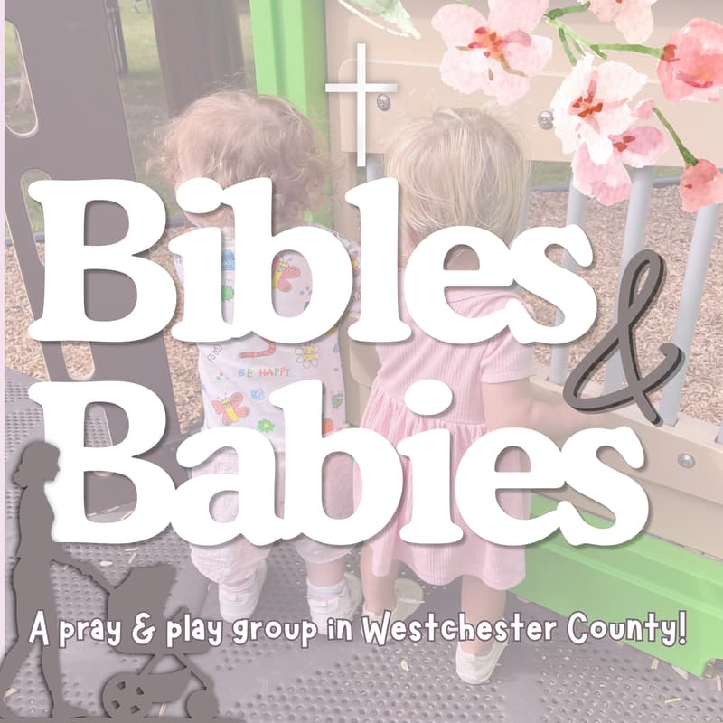 Cover Image for Bibles & Babies