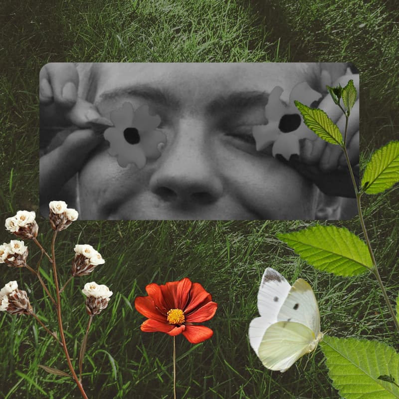 Cover Image for {in a} field day