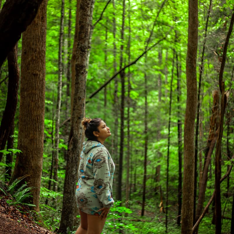 Cover Image for Awareness in Nature: A Forest Bathing Walk