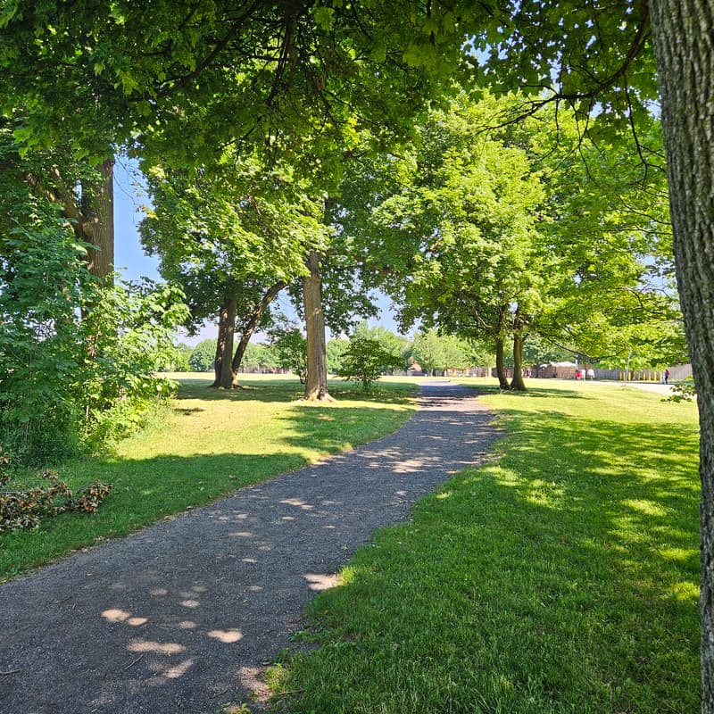 Cover Image for A Walk In The Park