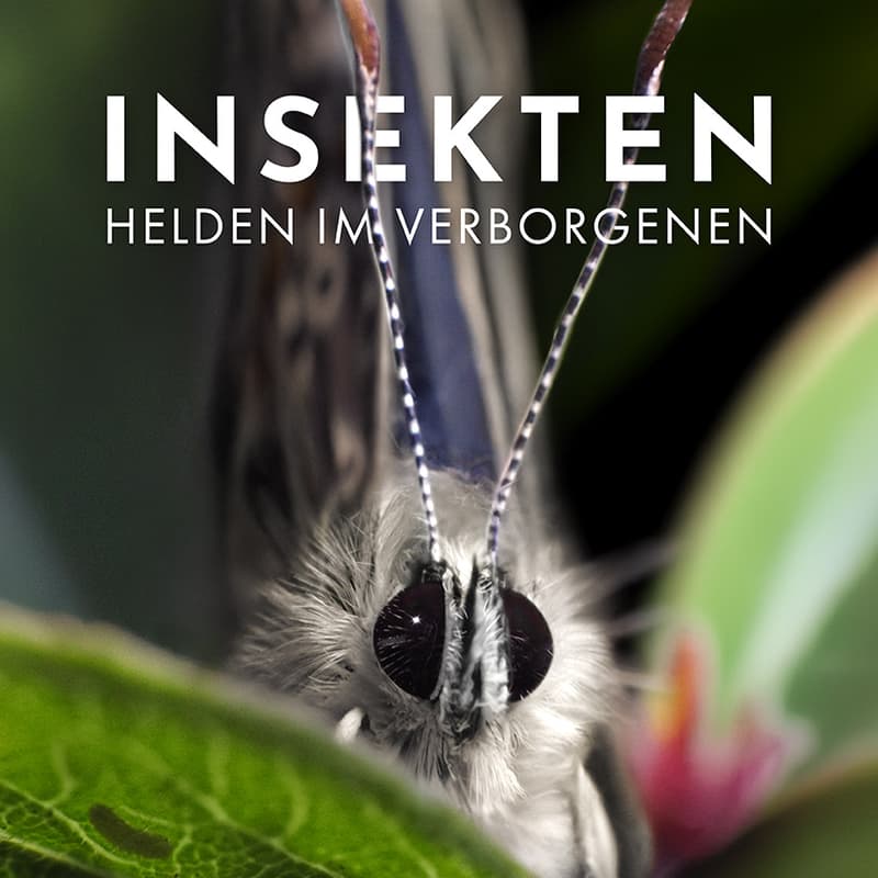 Cover Image for Film & Gespräch über Artenvielfalt, Umweltschutz und die Zukunft unserer Kinder