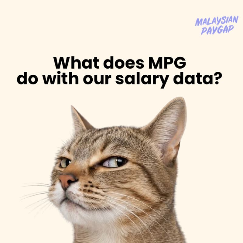 Cover Image for 🧠MalaysianPAYGAP Community Focus Group💡