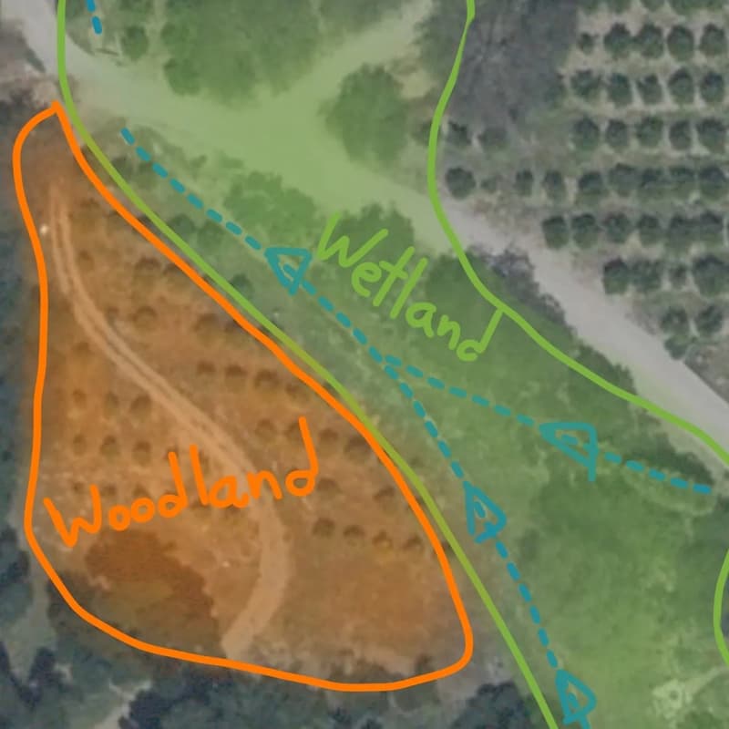 Cover Image for Agroforestry Day 4: Wetland and Riparian Establishment (11/15)