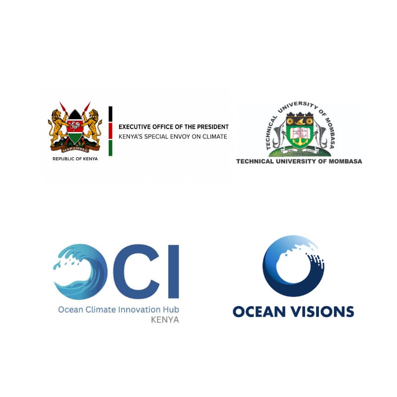 Cover Image for Marine Carbon Dioxide Removal Briefing for Decision-makers