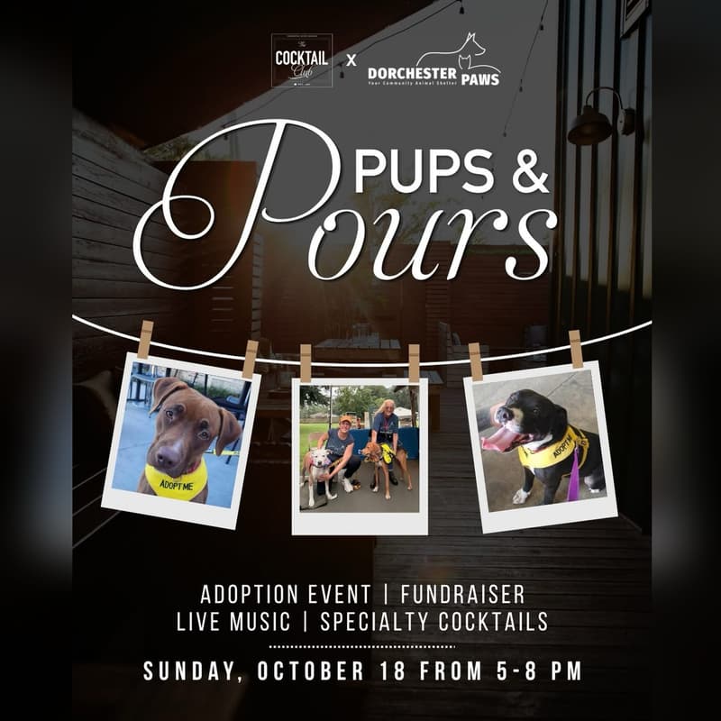 Cover Image for Pups & Pours: A Fundraiser for Dorchester Paws