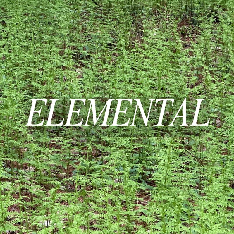 Cover Image for Elemental: a four part series