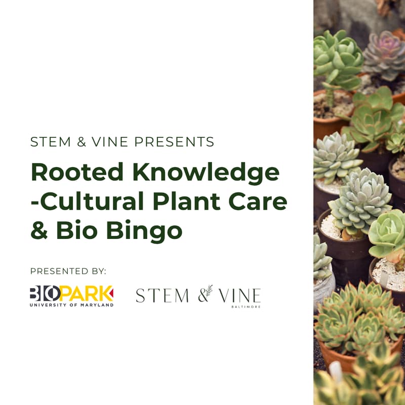 Cover Image for Stem & Vine Presents: Rooted Knowledge-Cultural Plant Care & Bio Bingo
