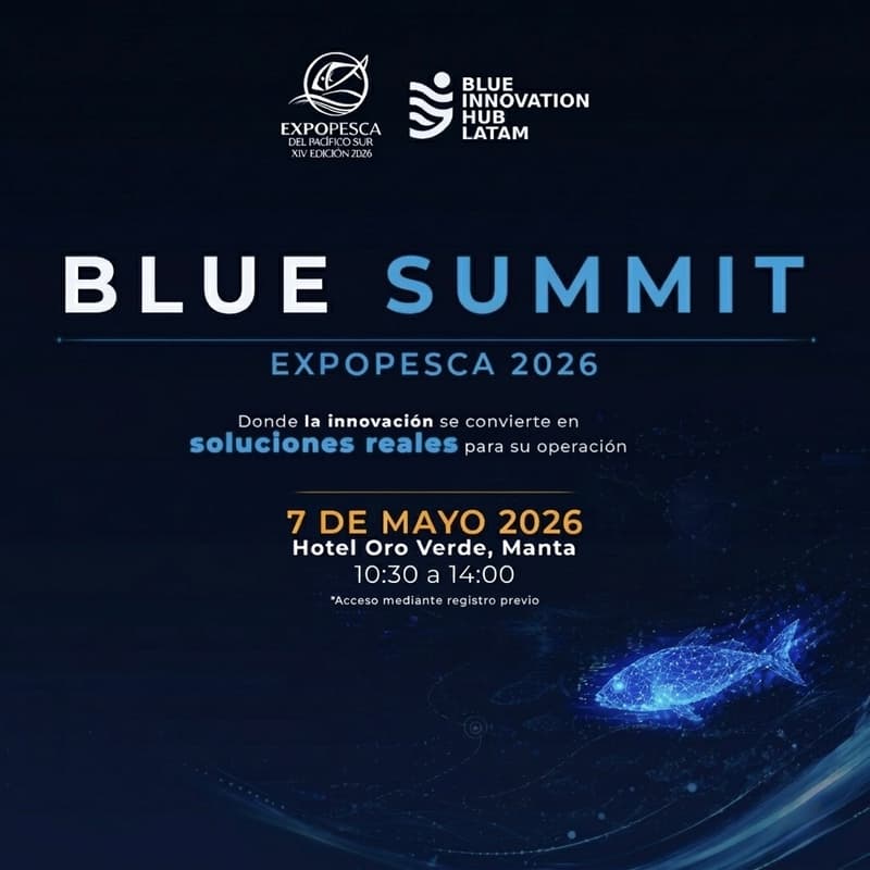 Cover Image for Blue Summit