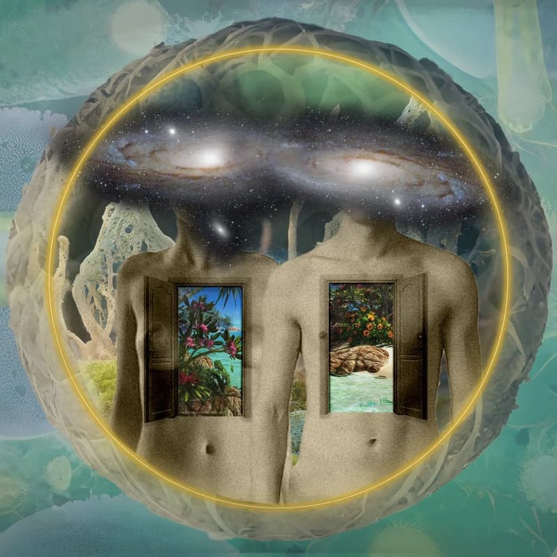 Cover Image for Info Session | Regenerative Pathways through Burnout