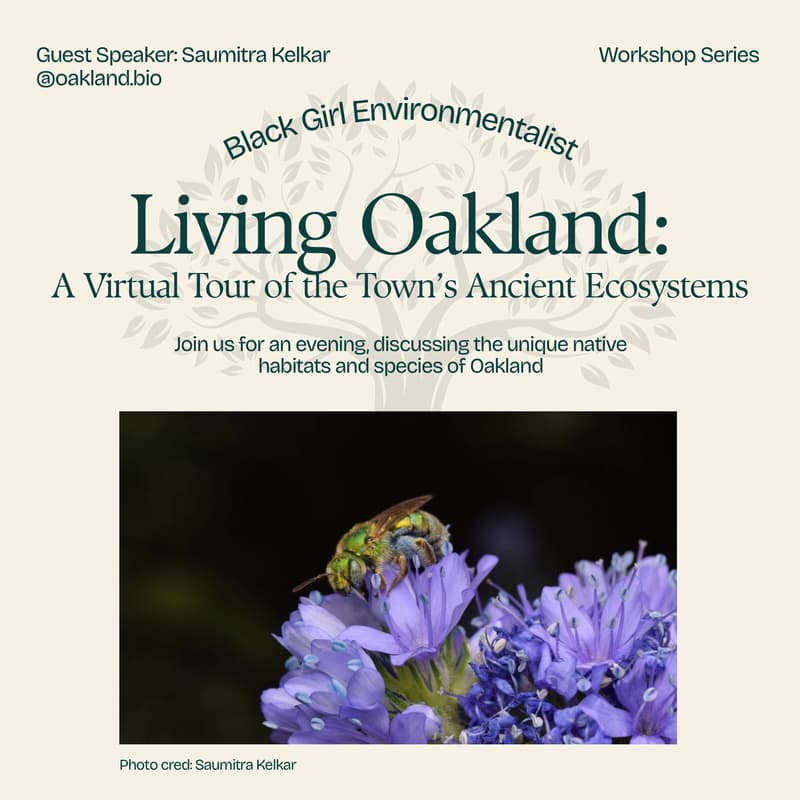 Cover Image for Living Oakland: a Virtual Tour of the Town's Ancient Ecosystems