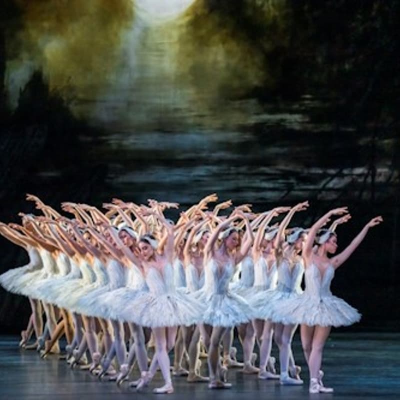 Cover Image for SWAN LAKE: FROM POSTURE TO GRACE