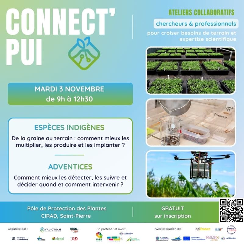 Cover Image for CONNECT'PUI