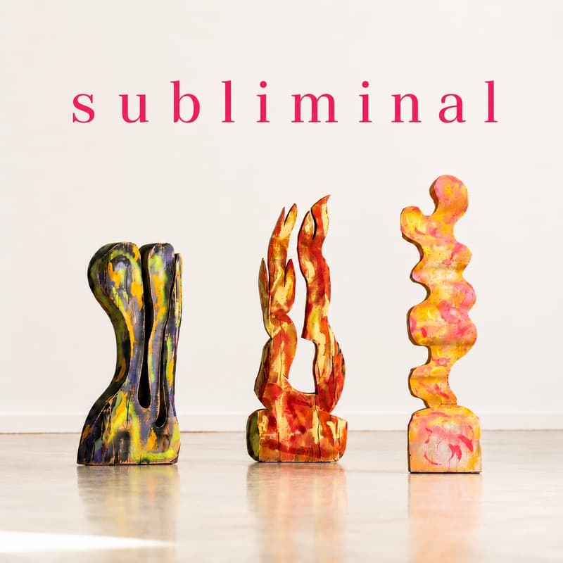 Cover Image for Subliminal Woodcarving @ Home Guts ! w/ Ellie Richards