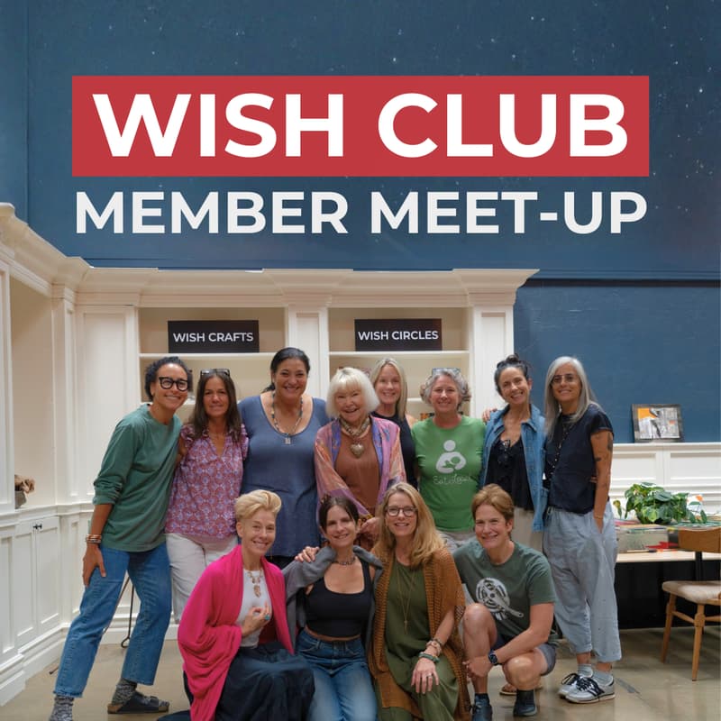 Cover Image for Wish Club Member Meet-Up