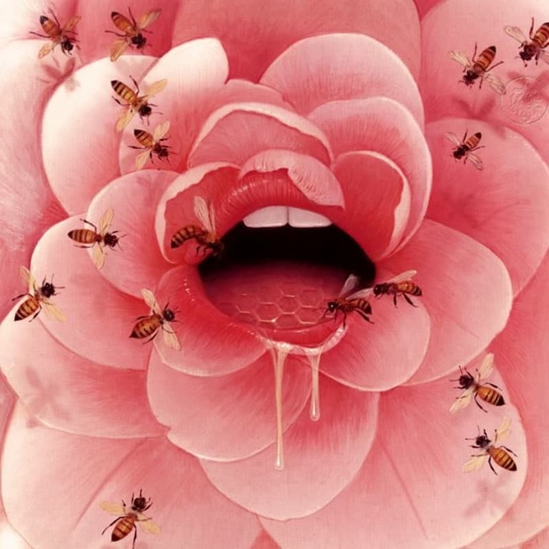 Cover Image for abunDANCE