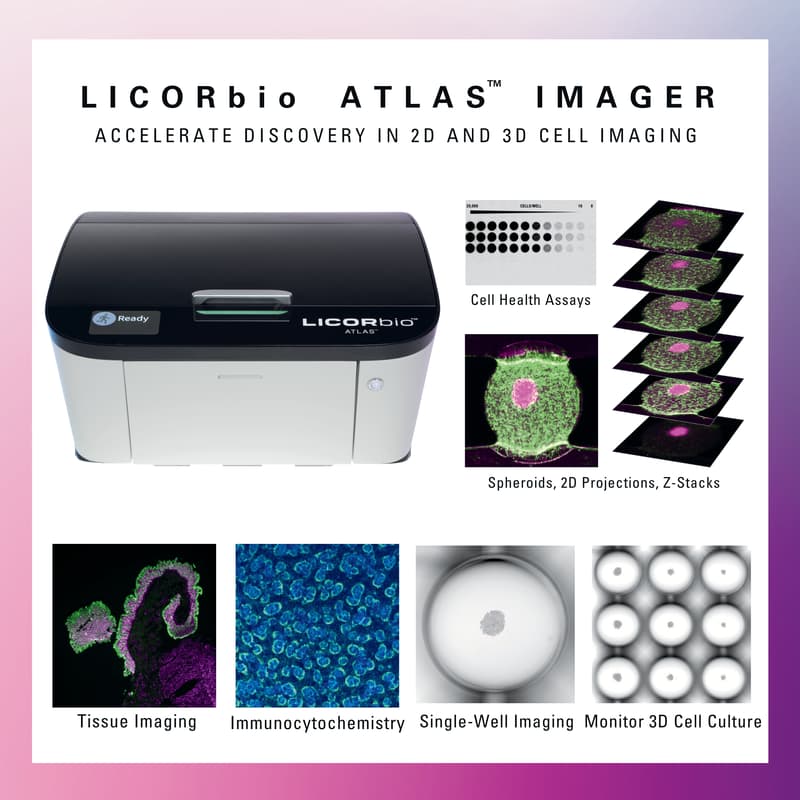 Cover Image for Lunch & Learn: Experience the LI-CORbio ATLAS™ Imager