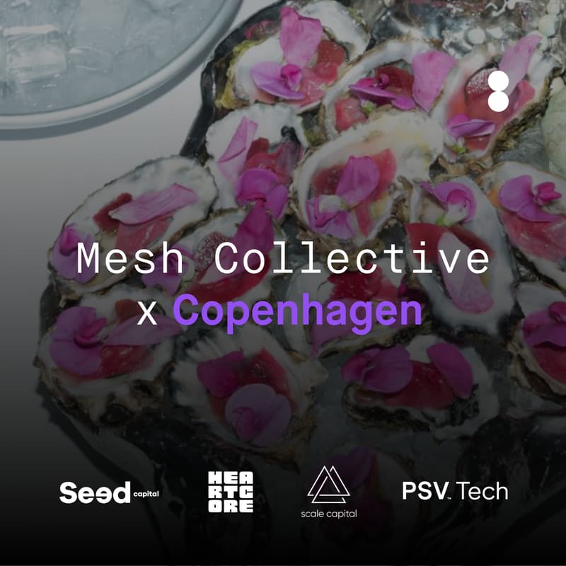 Cover Image for Mesh Collective X Copenhagen