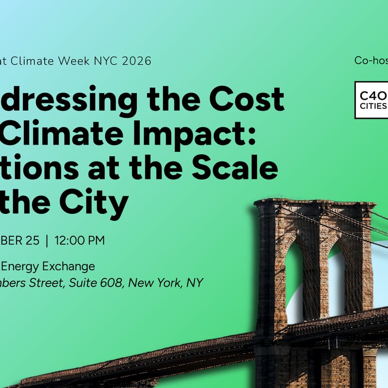 Cover Image for Addressing the Cost of Climate Impact: Actions at the Scale of the City