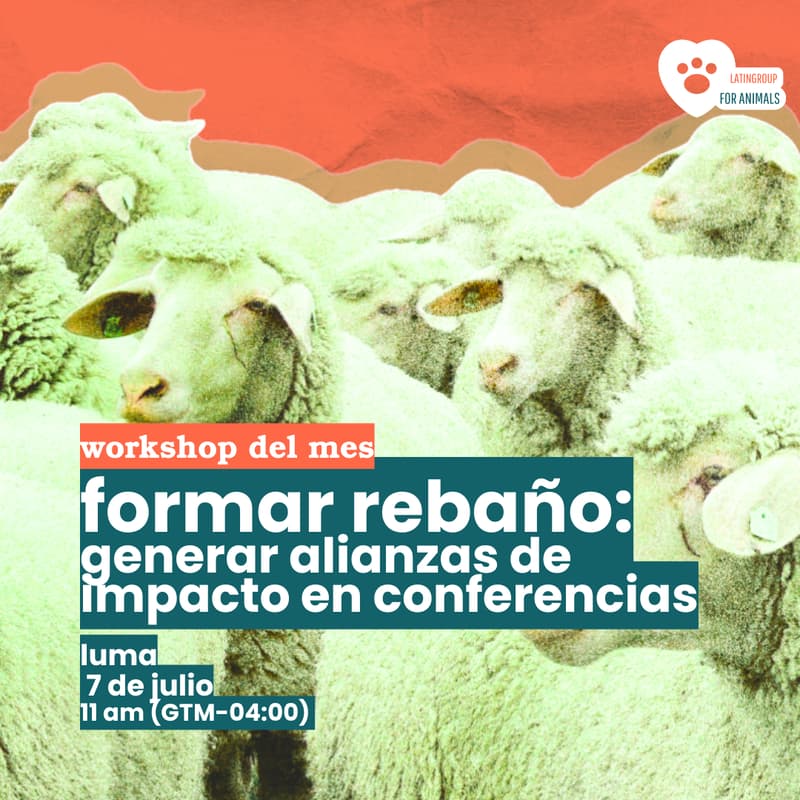 Cover Image for Formar Rebaño: Generar Alianzas De Impacto En Conferencias