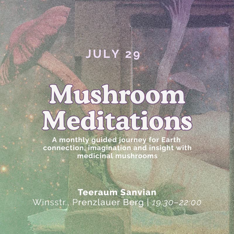 Cover Image for Mushroom Meditations: A guided journey for Earth connection, imagination and insight