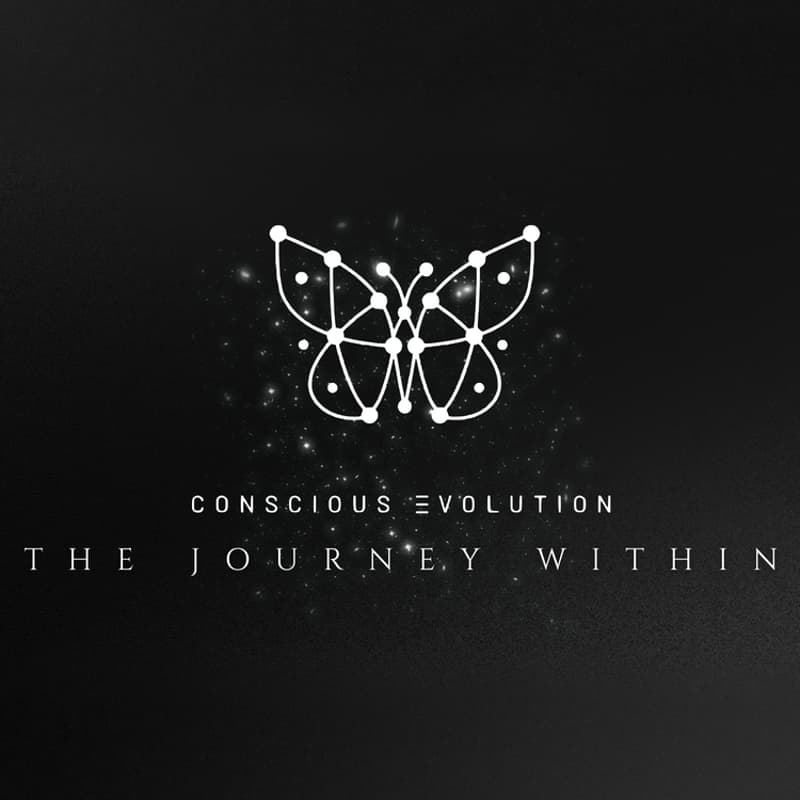 Cover Image for Conscious Evolution Series 2 Launch Party