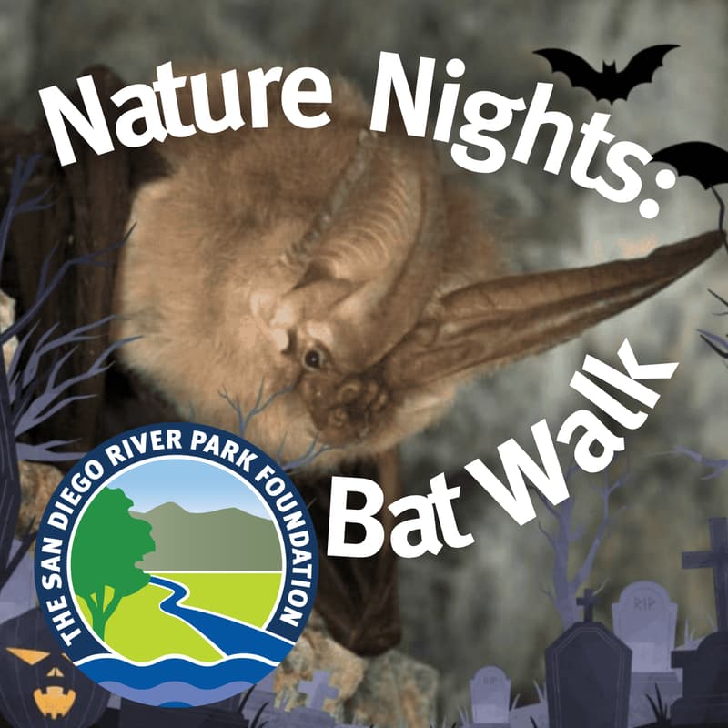 Cover Image for Nature Nights: Bat Walk and Moths (Halloween Edition)