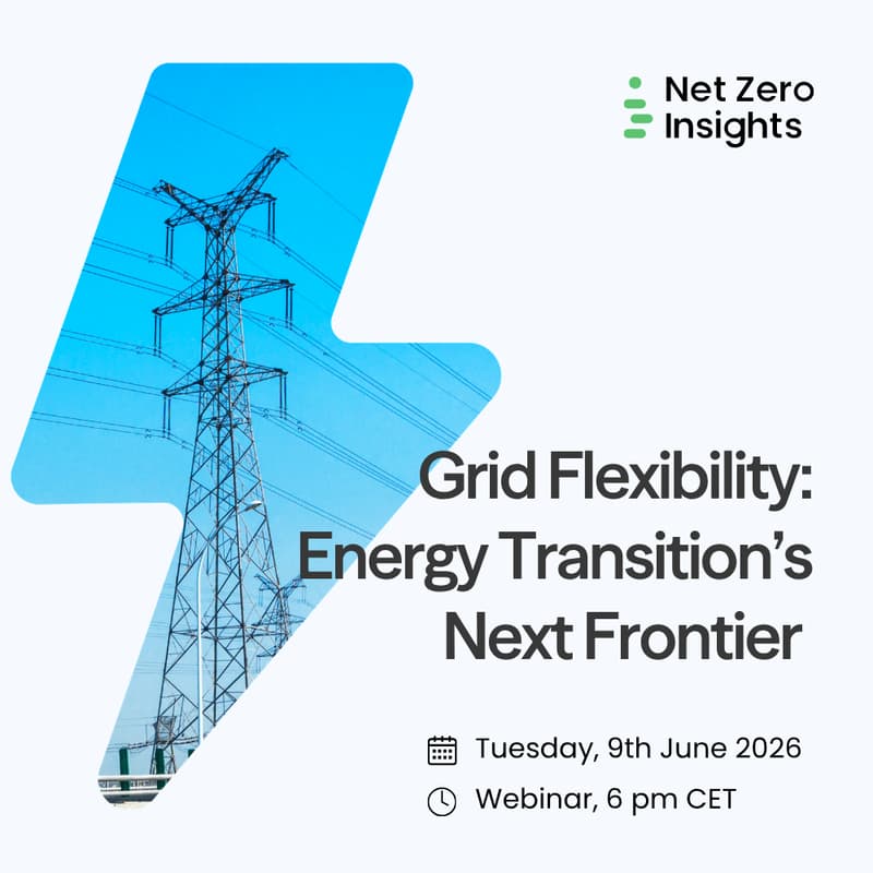 Cover Image for Grid Flexibility: Energy Transition's next Frontier [WEBINAR]