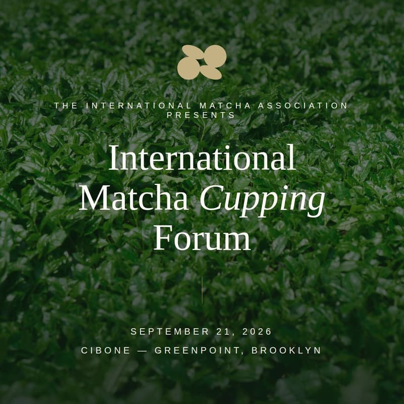Cover Image for International Matcha Cupping Forum — Session Two (Open to the Public)