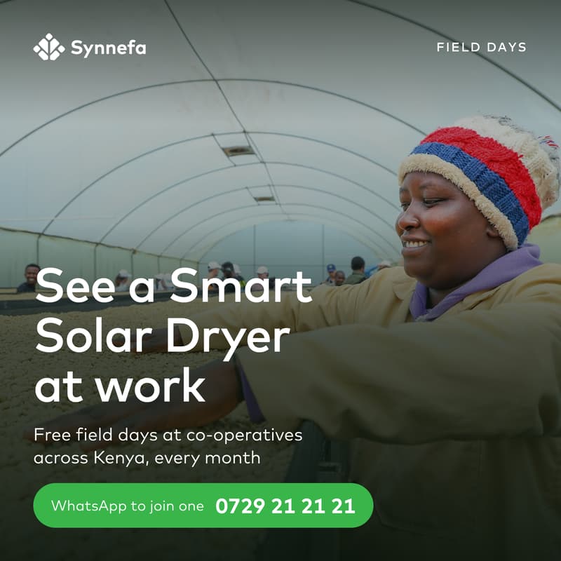 Cover Image for Synnefa Field Day — Smart Solar Drying in Practice | Kiambu, August 2026