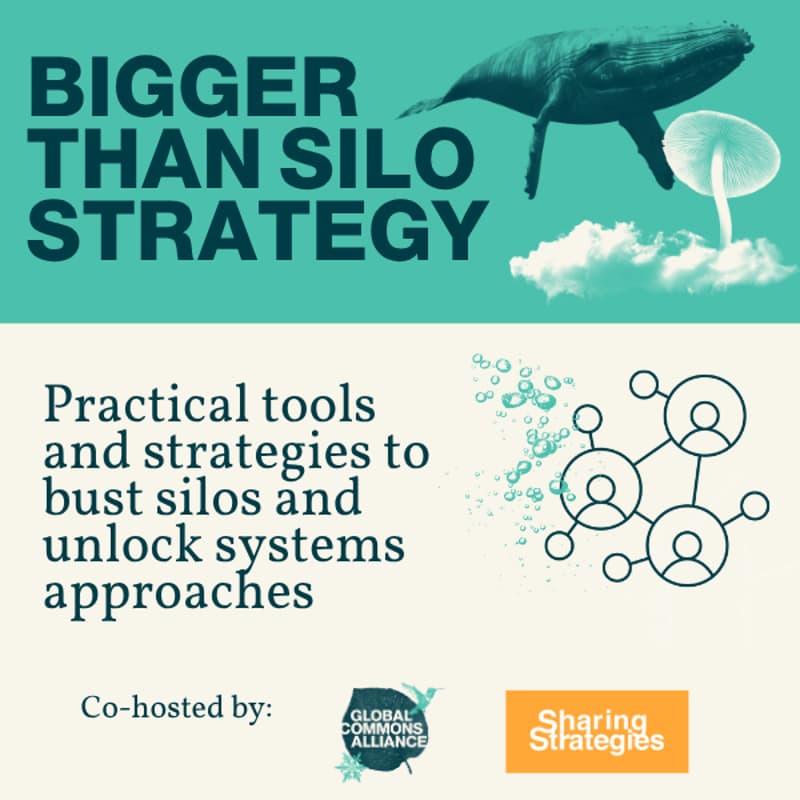 Cover Image for Bigger than [Silo] Strategy: Practical tools and strategies to bust silos and unlock systems approaches