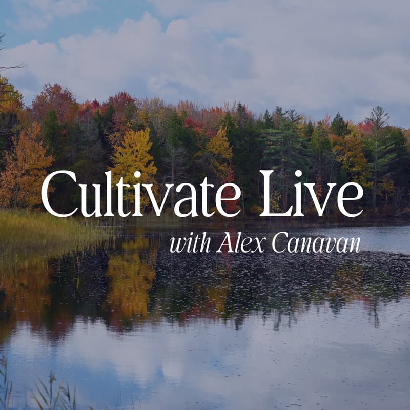 Cover Image for Cultivate Live with Alex Canavan