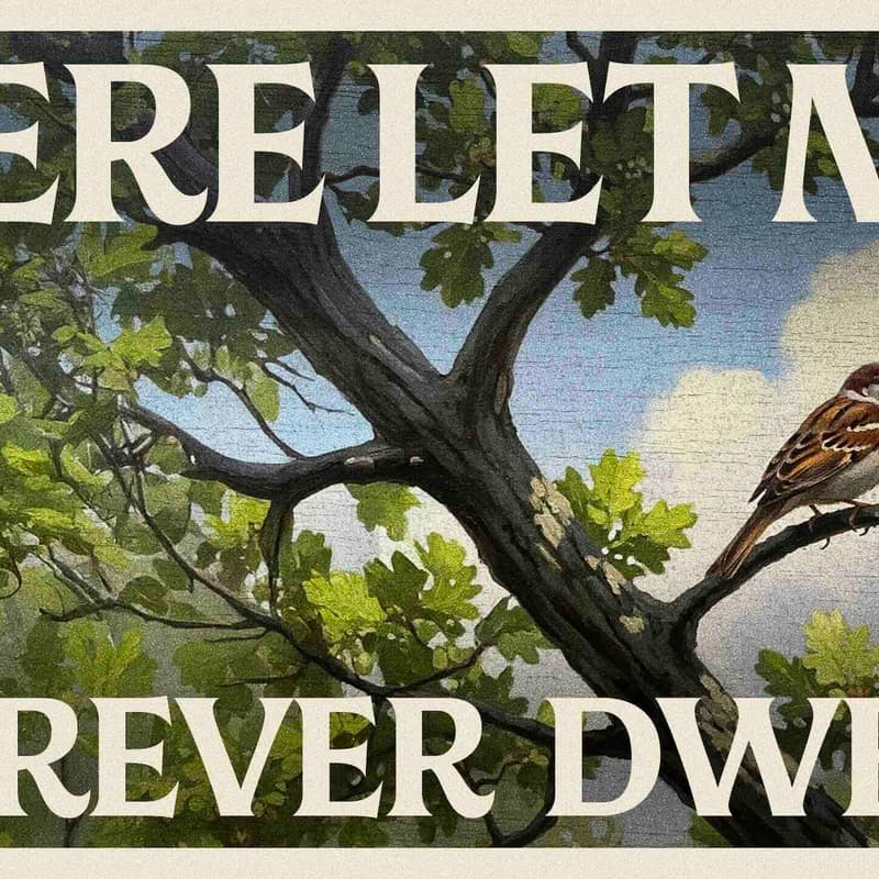 Cover Image for Virtual Show: Here Let Me Forever Dwell