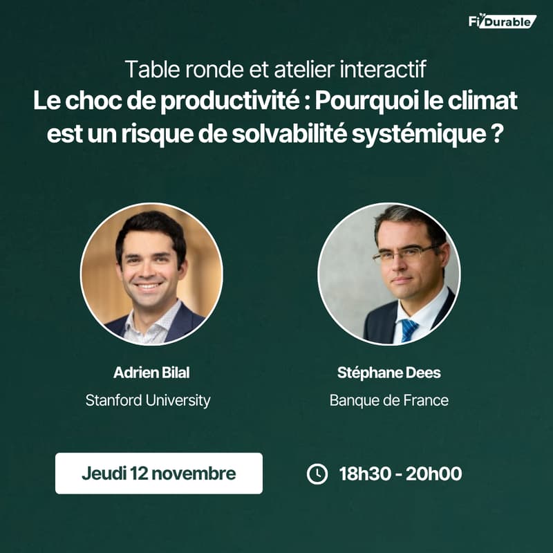 Cover Image for Le choc de productivité : Pourquoi le climat est un risque de solvabilité systémique ?