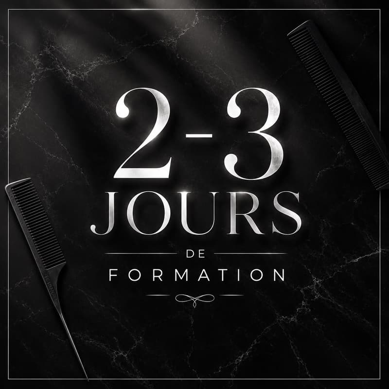Cover Image for Formation Perfectionnement Coiffure Afro — 3 Jours (Prix total : 300€)
