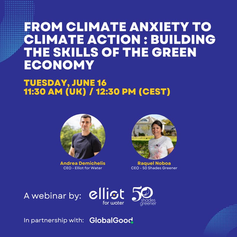 Cover Image for From Climate Anxiety to Climate Action : Building the Skills of the Green Economy