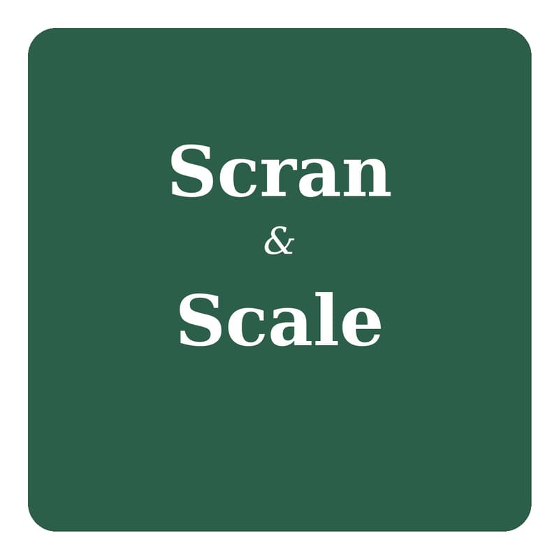 Cover Image for Scran & Scale