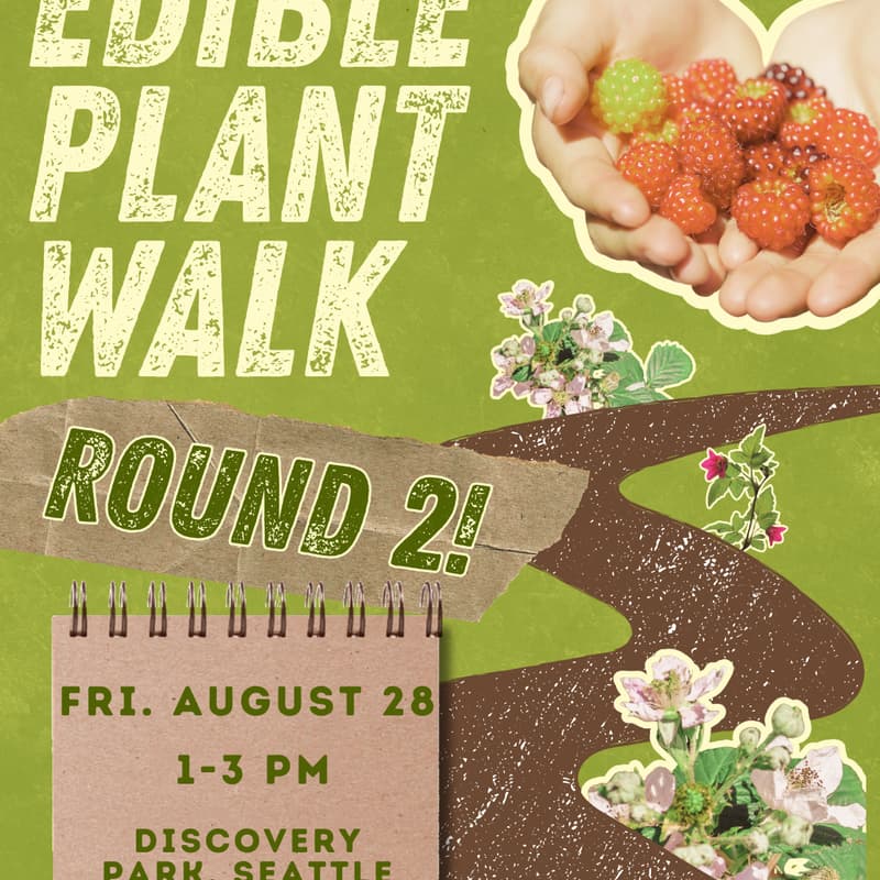 Cover Image for Edible Plant Walk