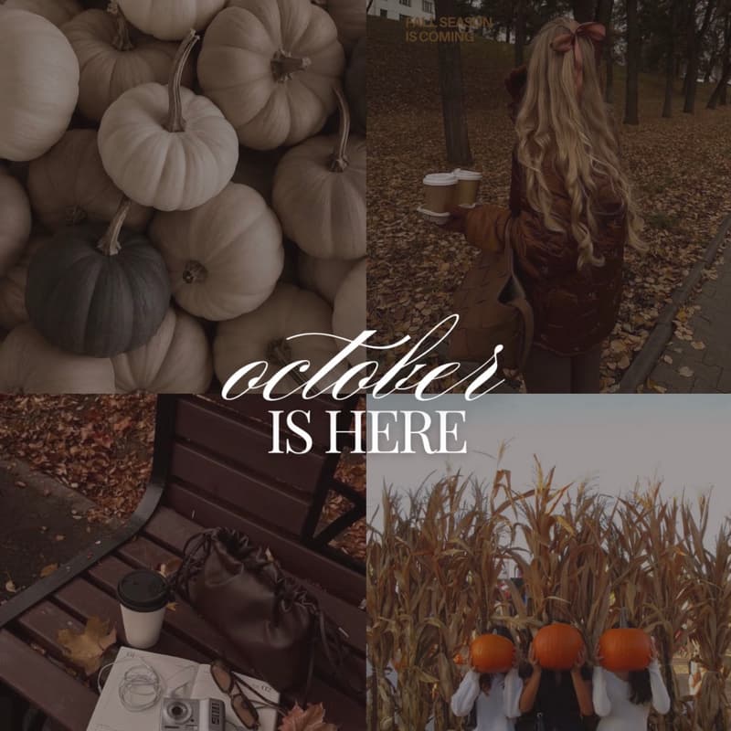 Cover Image for Pumpkin Patch