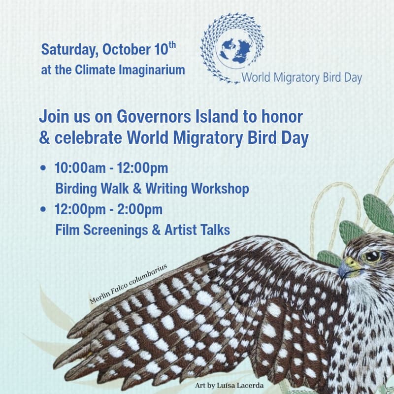 Cover Image for World Migratory Bird Day Celebration