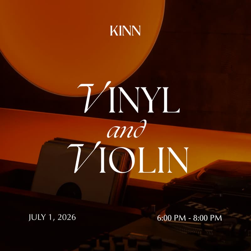 Cover Image for Vinyl And Violin