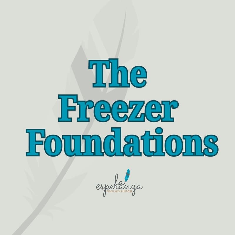 Cover Image for The Freezer Foundation