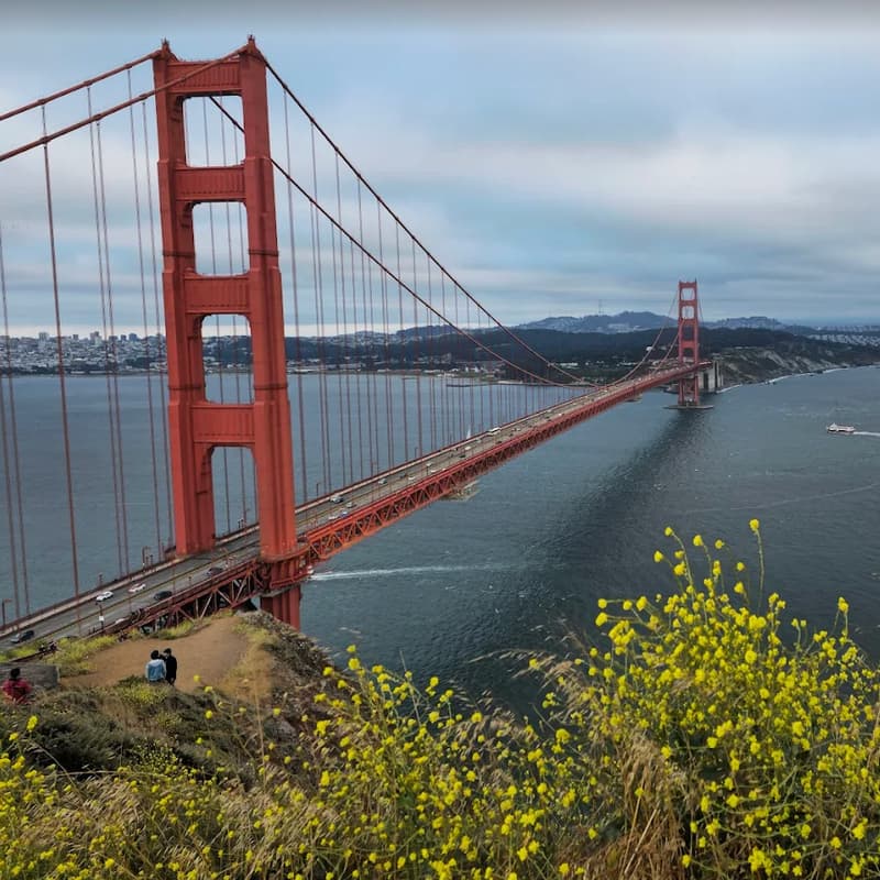 Cover Image for July - Founders Walking Meeting - Sausalito