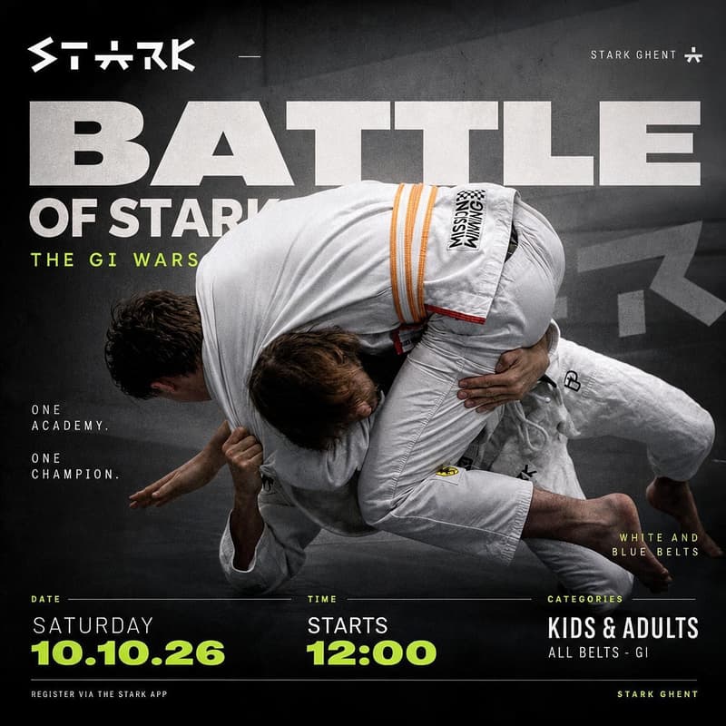 Cover Image for Battle Of Stark V: The Gi Wars