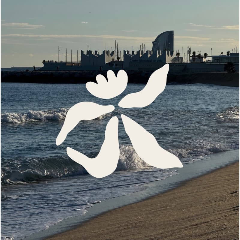 Cover Image for WALK | Beach Walk and Açai (~4.5k)