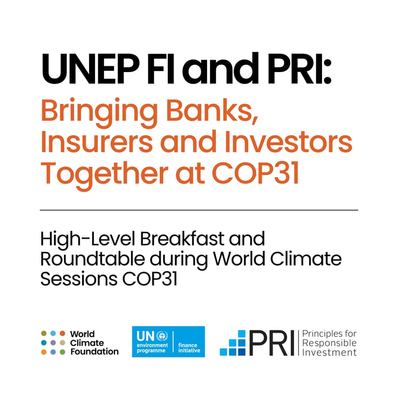 Cover Image for Bringing Banks, Insurers and Investors Together at COP31 (Invitation Only)