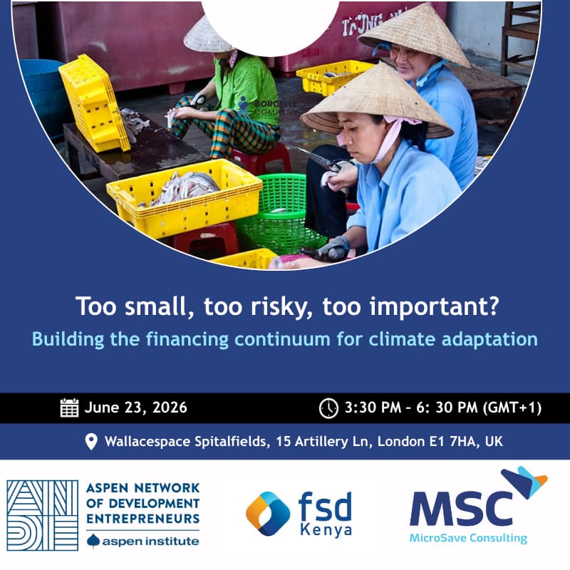 Cover Image for Too small, too risky, Too important? Building the financing continuum for climate adaptation