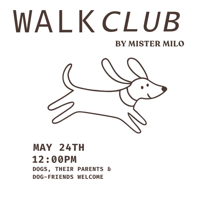 Cover Image for Dog Walk & Social